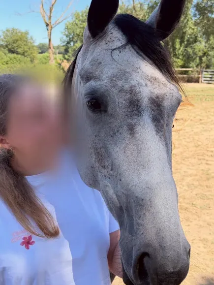 Sveva, 18 anni
